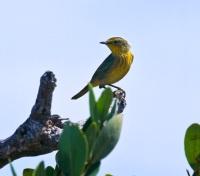 Los Roques National Park